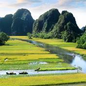 Rice paddies and mountains of Ninh Binh