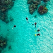 Diving in Gaya Island