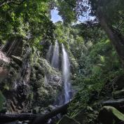 Belum Rainforest waterfall