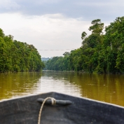 Boat on Kinabatangan River