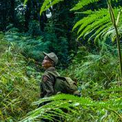 Man trekking through the forest of Nam Et-Phou Louey