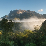 View of Mt Kinabalu from Kinabalu Park