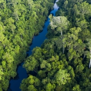 Aerial view of Taman Negara National Park