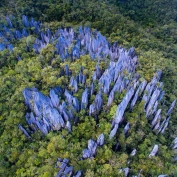 Jagged rock pinnacles shoot out of the jungle at Mulu National Park in Borneo