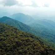 Cloud Forests of Laos