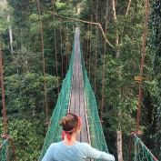 Canopy walkway in Danum Valley - Claire Allison