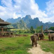 Elephants of Elephant Hills sanctuary, Khao Sok National Park