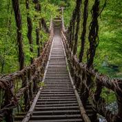 Vine bridge over Iya Valley in Shikoku