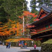 Nikko temple in autumn