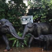 Black model elephants in front of Night Safari sign