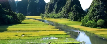 Rice paddies and mountains of Ninh Binh 