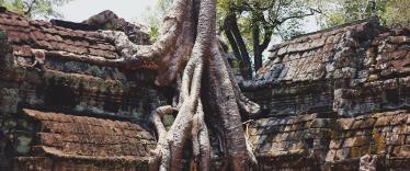 Angkor Wat temple complex