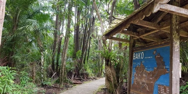 Hiking trails in Bako National Park
