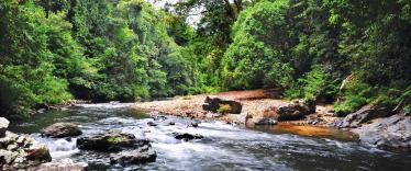 River in Taman Negara