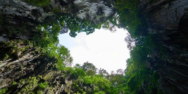 Looking up from Mulu's caves