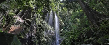 Belum Rainforest waterfall
