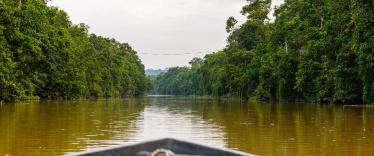 Boat on Kinabatangan River