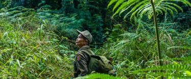 Man trekking through the forest of Nam Et-Phou Louey