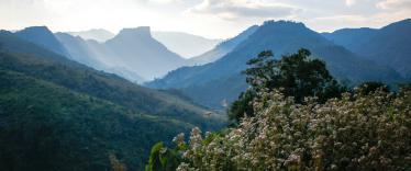 Nam Et Phou Louey view