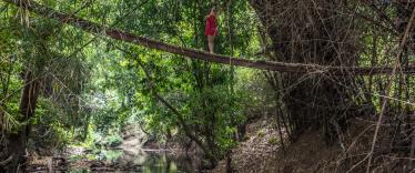 Betreed Adventures 