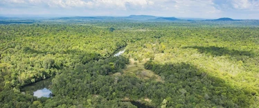 Aerial view of Botum Sakor Cardamom Tented Camp 