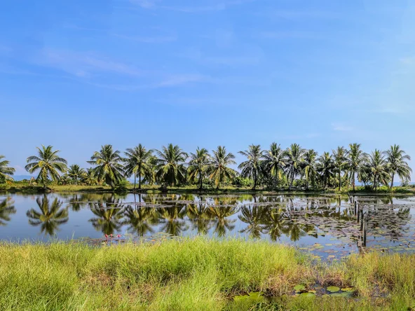 Koh Kong