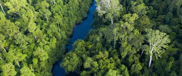 Aerial view of Taman Negara National Park