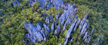 Jagged rock pinnacles shoot out of the jungle at Mulu National Park in Borneo