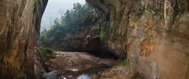 Phong Nha caves