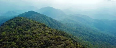 Cloud Forests of Laos
