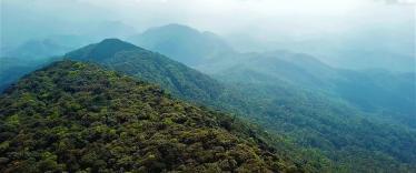 Cloud Forests of Laos