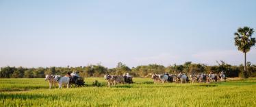 Mekong River scenery - Heritage Line 