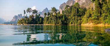Khao Sok waterfront 