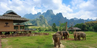 Elephants of Elephant Hills sanctuary, Khao Sok National Park 