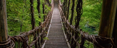Vine bridge over Iya Valley in Shikoku