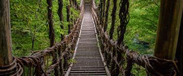Vine bridge over Iya Valley in Shikoku