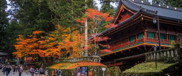 Nikko temple in autumn 