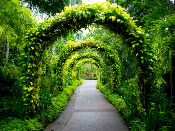Archway covered in greenery in Singapore's Botanic Gardens 