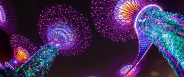 Singapore supertrees illuminated at night 