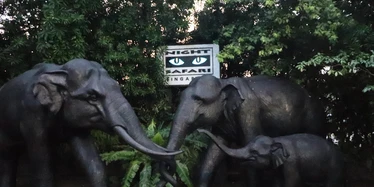 Black model elephants in front of Night Safari sign 