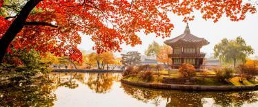 Autumn leaves at Gyeongbokgung Palace in Seoul 