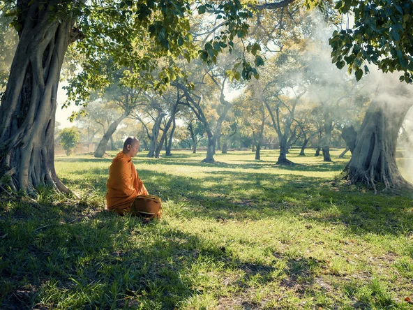 Monk meditating underneath tree in garden in Laos