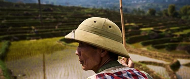 Vietnamese man in war helmet overlooking rice paddies