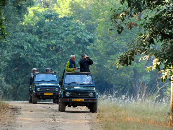 Bandhavgarh National Park