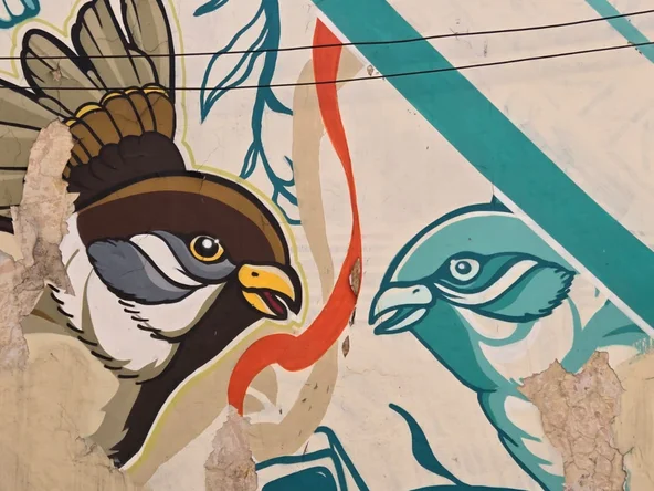 Delhi Street Art