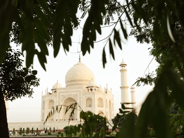 Taj Mahal through trees
