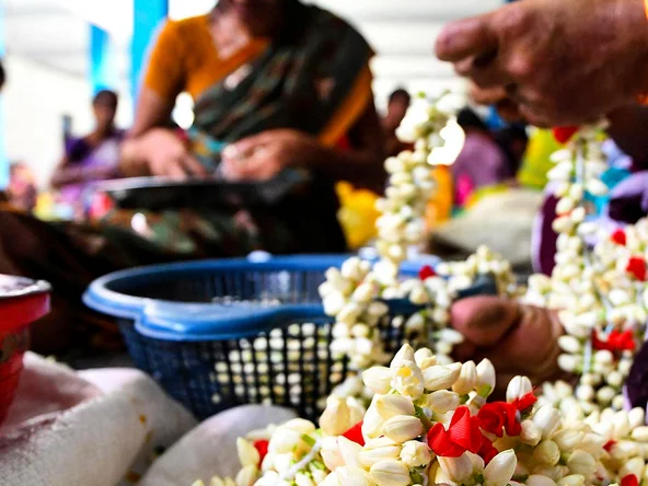Madurai Malli Jasmine Trail