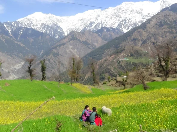 Naddito Dharamkot Walk 