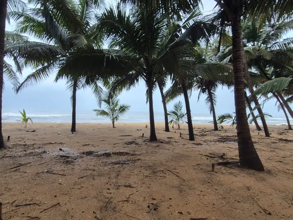 Beach at Neeleshwar