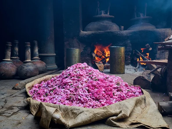 Perfumery tour in Kannauj